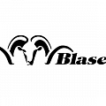BLASER BLASER