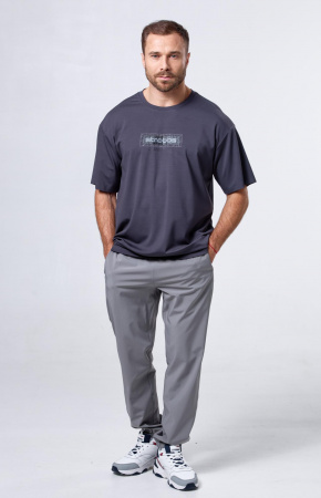 БРЮКИ МУЖСКИЕ STROBBS E2430-4