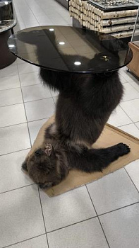 Чучело Медвежонок со столиком