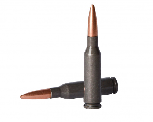 Патрон к.5,45х39 FMJ 60gr, ст.г.кап.Бердан УПЗ 1уп/20шт