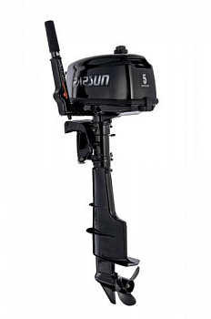 Мотор PARSUN T5 BMS №X09071066