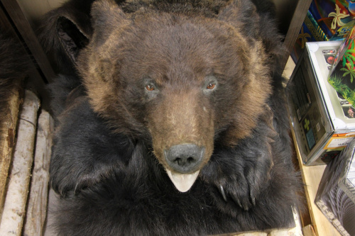 Ковер медвежий с головой №8