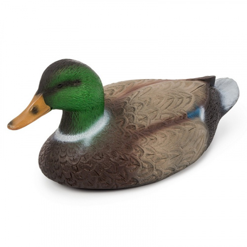 Чучело Кряква селезень