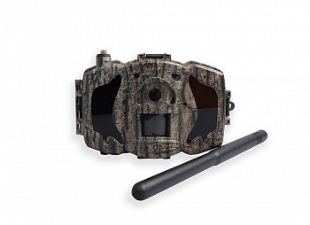 Фотоловушка Scout Guard SG984G-30mHD Camo