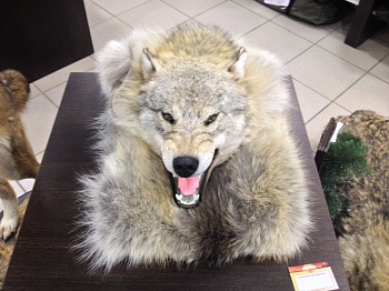 Ковер Волчий крупный