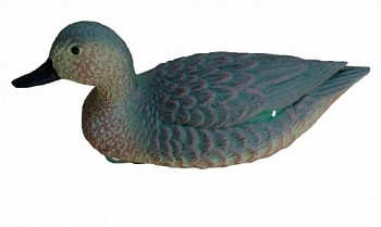 Чучело чирок плавающий утка