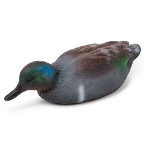 Чучело Чирок селезень