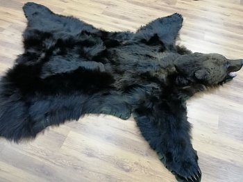 Ковер медвежий с головой №9