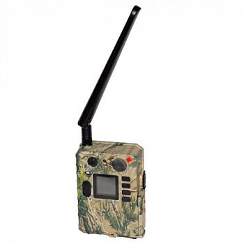 Камера Scout Guard BG710-М 24mHD camo