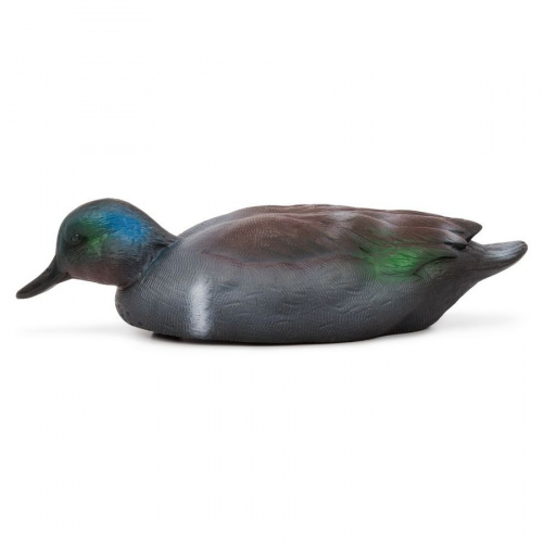 Чучело Чирок селезень