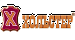 ХОЛЬСТЕР ХОЛЬСТЕР