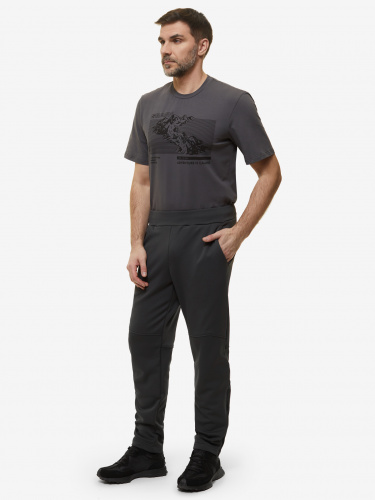 БРЮКИ PINE FOREST PNT СЕРЫЙ ТМН