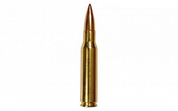 Патрон к.7,62х51 ОБ FMJ ГЛ с мед.точ. пуля 9,47гр НПЗ 1уп/20шт