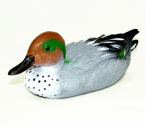 Чучело Чирок селезень активный