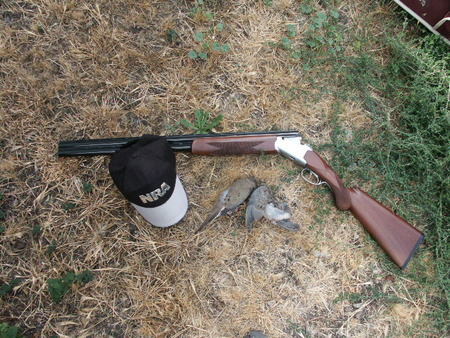 CZ Mallard 12 калибр купить в Екатеринбурге